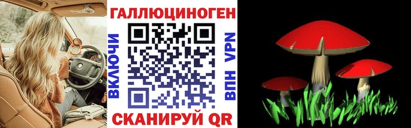 Псилоцибиновые грибы Psilocybe  даркнет формула  Красный Сулин 